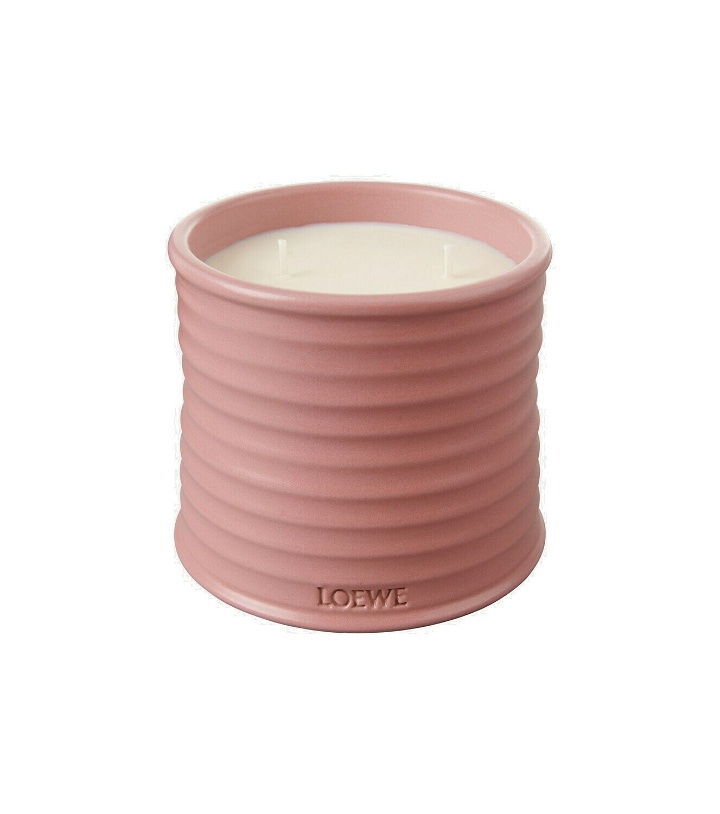 Photo: Loewe Home Scents Ivy Medium candle