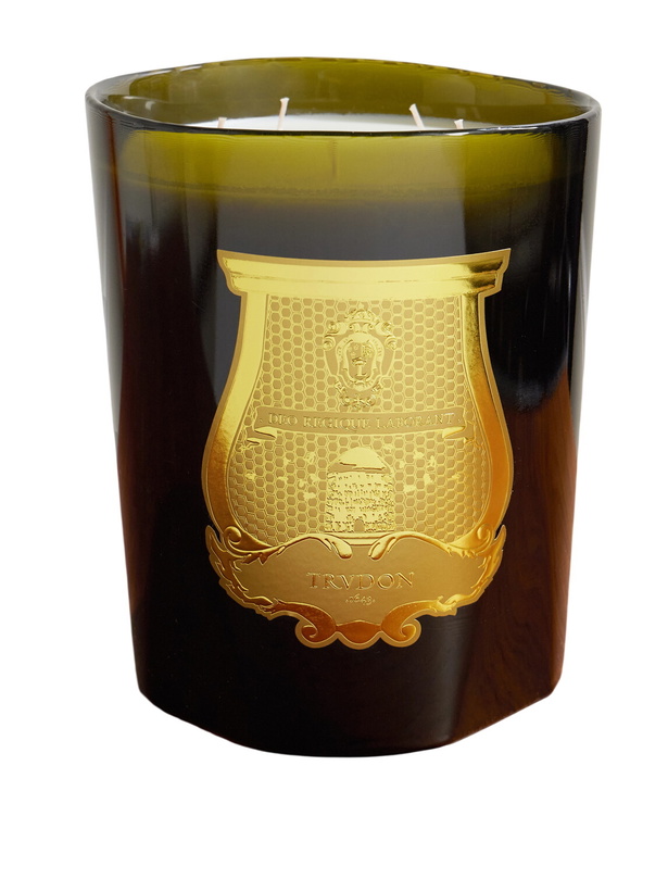 Photo: Trudon - Ernesto Tobacco and Leather Scented Candle, 2.8kg