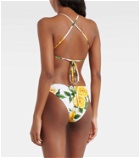 Dolce&Gabbana Floral halterneck bikini top