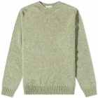 Country Of Origin Men's Supersoft Seamless Crew Knit in Willow