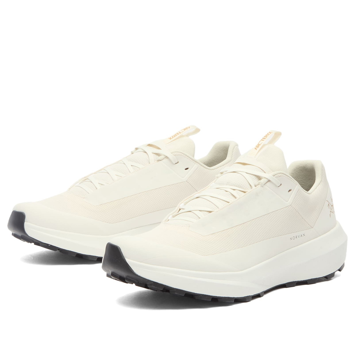 Arc'teryx Men's Norvan LD 4 Gore-Tex Sneakers in Arctic Silk/Arctic Silk