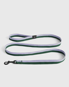 Hay Hay Dogs Leash Green/Purple - Mens - Cool Stuff