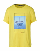 Peuterey Mens T-shirt in Yellow