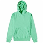 Colorful Standard Organic Oversized Hoody in Spring Green