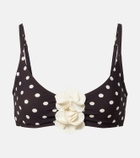 Karla Colletto Floral-appliqué polka-dot bikini top