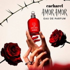 Cacharel Ladies Amor Amor EDP Spray 1.7 oz Fragrances 3614274304367