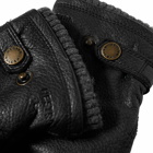 Hestra Men's Elk Utsjö Glove in Black