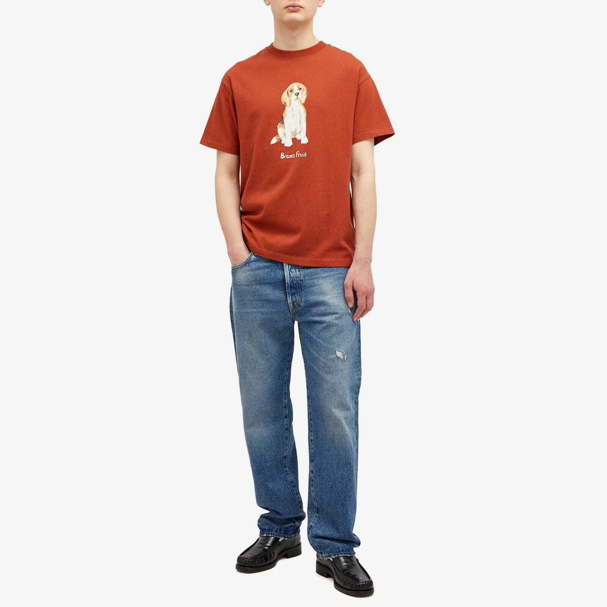 Bram's Fruit Men's Beagle Aquarel T-Shirt in Bordeaux