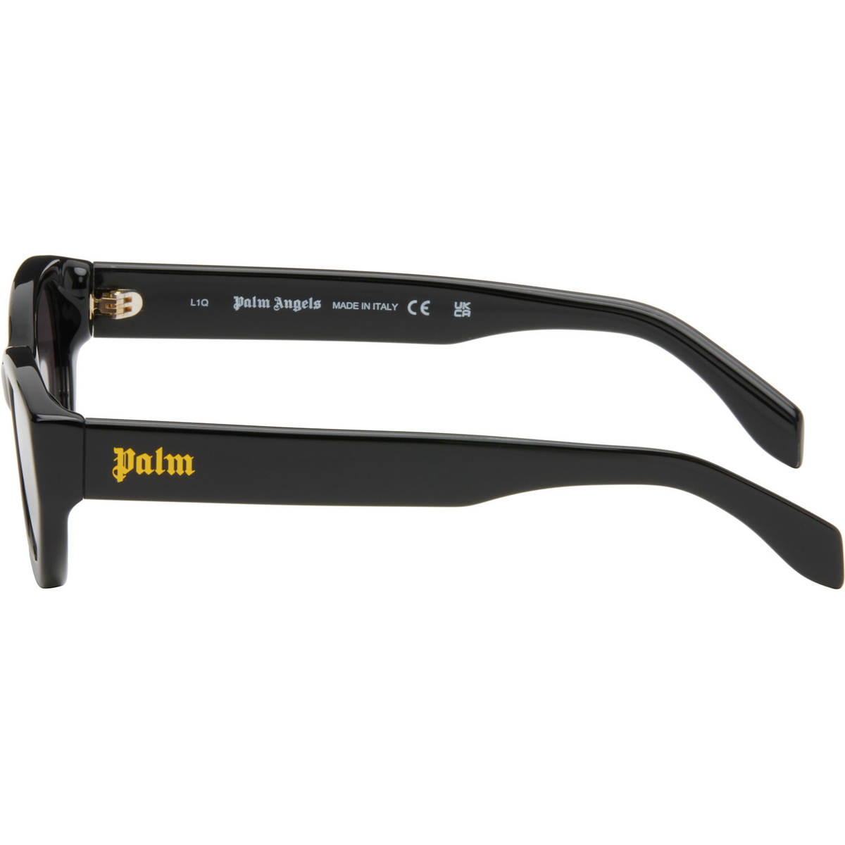 Palm Angels Black Eagle Sunglasses