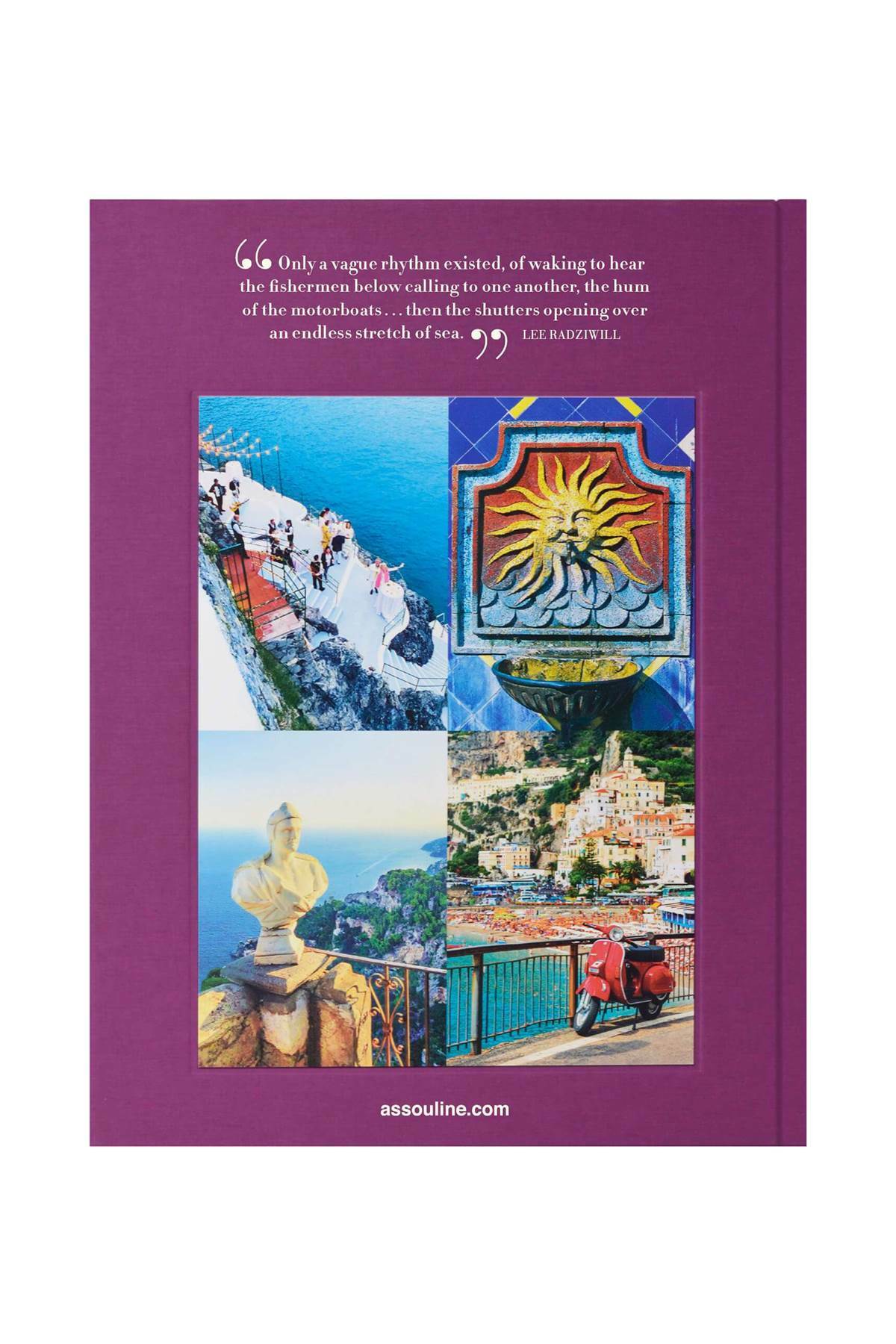 ASSOULINE 'coastal Purple