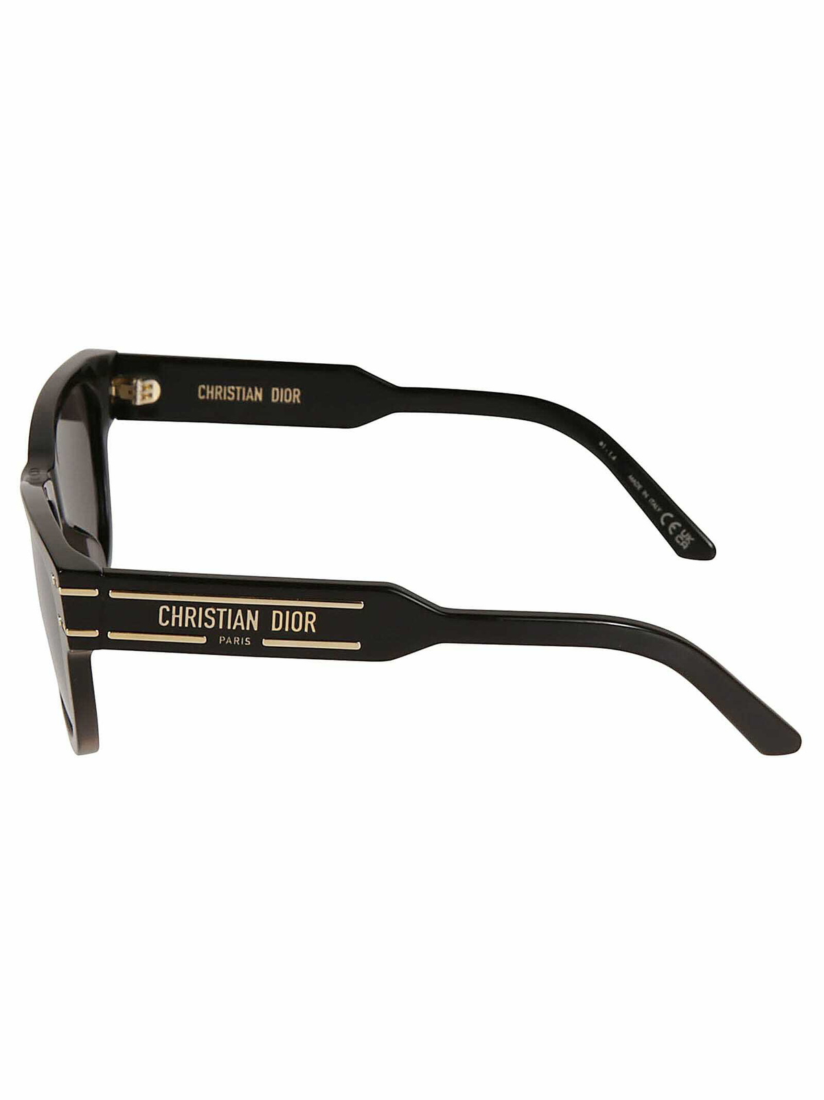 Dior Eyewear Wayfarer Woman Sunglasses