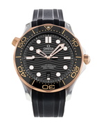 Omega Seamaster Diver 300m 210.22.42.20.01.002