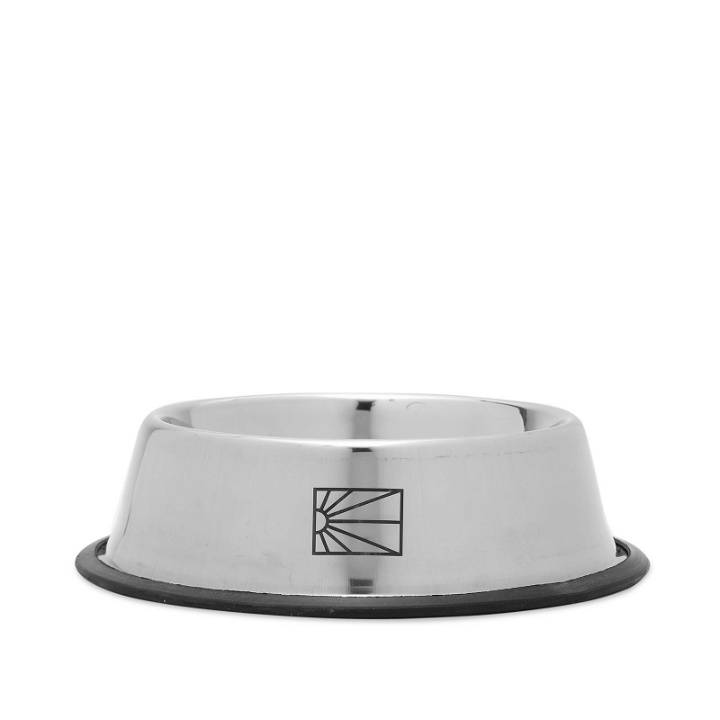 Photo: PACCBET Men's Keep Dancing Dog Bowl in Silver