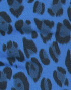 J Brand Womens Jeans Bright in Blue