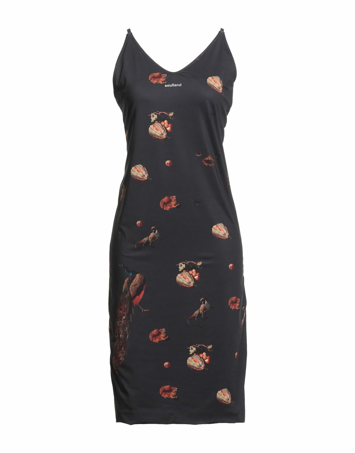 Soulland Womens Midi dress in Black