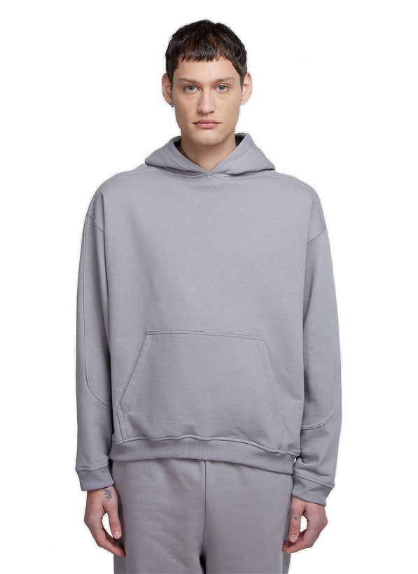 Photo: Earth Walk Hooded Sweatshirt in Grey