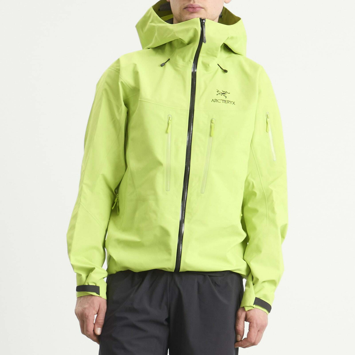 Arc'teryx Men's Alpha SV Gore-Tex Jacket in Mantis/Black