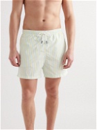 Solid & Striped - The Classic Straight-Leg Mid-Length Striped Swim Shorts - Green