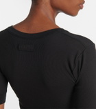 Calvin Klein Collection Ribbed-knit cotton-blend top