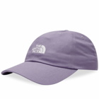 The North Face Men's Norm Cap in Lunar Slate