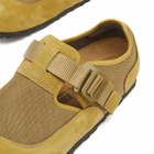 Birkenstock Men's London Nova TEX in Pine Green