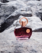 Afnan Ladies Supremacy EDP 3.4 oz Fragrances 6290171002055