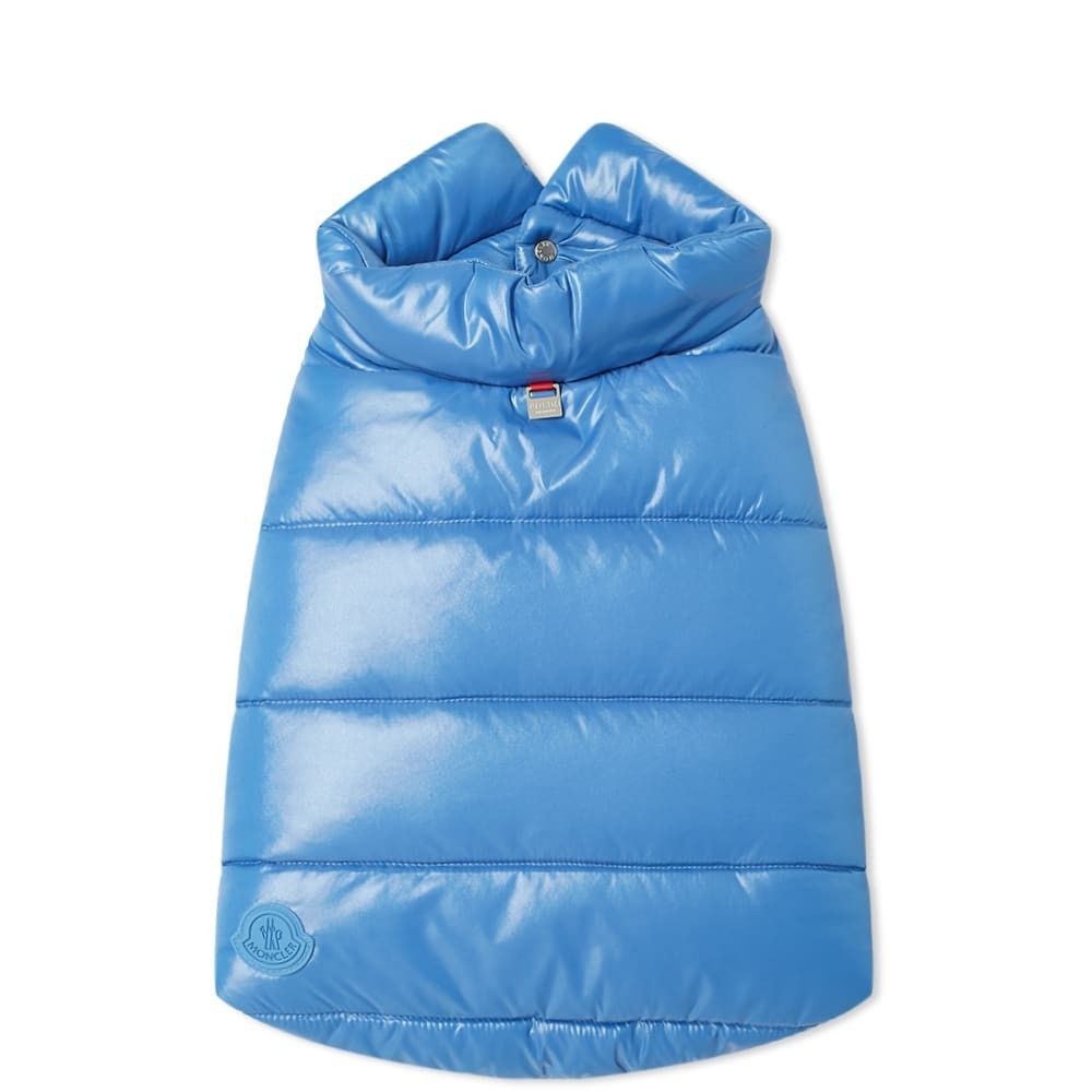Moncler Genius x Poldo Dog Down Jacket Moncler Genius