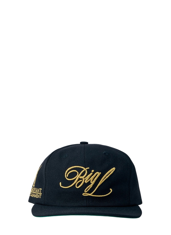 Photo: Awake NY Flamboyant Entertainment 6 Panel Cap