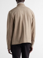Mr P. - Harrington Suede Jacket - Brown