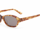 AKILA Rey Sunglasses in Toffee Tortoise/Asphalt 