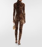 Dolce&Gabbana Leopard-print cotton-blend catsuit