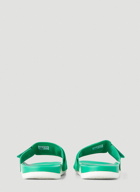 Logo Slides in Green