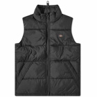 Dickies Men's Waldenburg Puffer Vest in Black