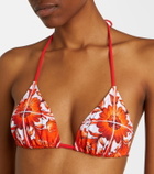 Dolce&Gabbana Majolica bikini