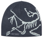 Arc'teryx Bird Head Toque in Black Sapphire/Alpine 