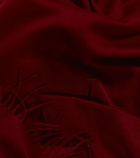 Loro Piana - Cashmere scarf