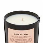 Boy Smells Ambrosia Scented Candle in 240G
