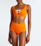 Marysia Santa Monica scalloped bikini bottoms