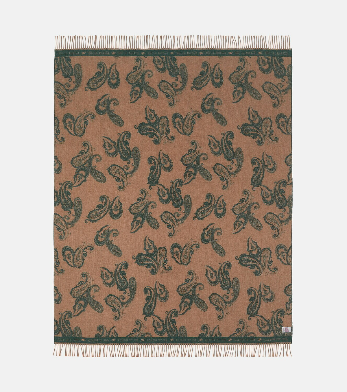 Etro Fringed paisley wool throw