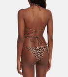 Reina Olga Miami leopard-print bikini top