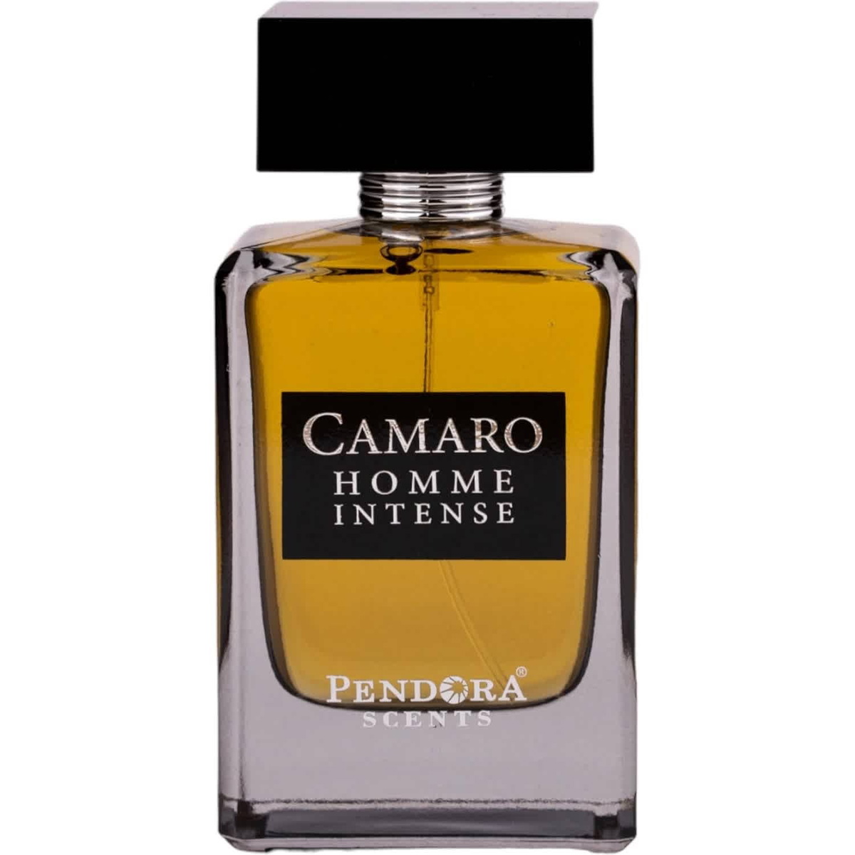 Paris Corner Mens Pendora Scens Camaro Homme Intense EDP Spray 3.3 oz Fragrances 6423080726761