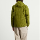 Goldwin Men's PERTEX QUANTUM Padded Warm Jacket in Ivy Green