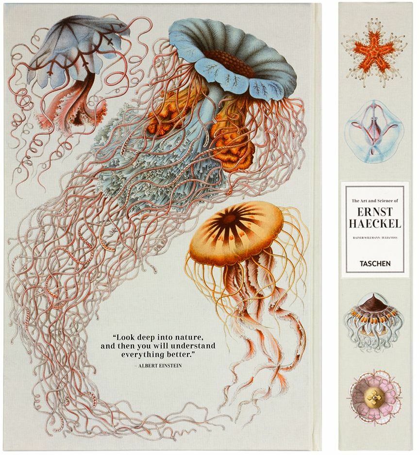 TASCHEN Books: The Art and Science of Ernst Haeckel