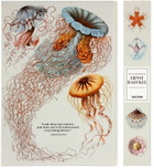 TASCHEN The Art and Science of Ernst Haeckel, XXL