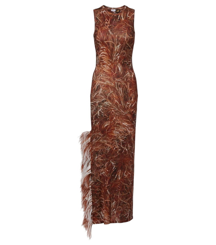 Photo: Loewe Feather-trimmed printed maxi dress