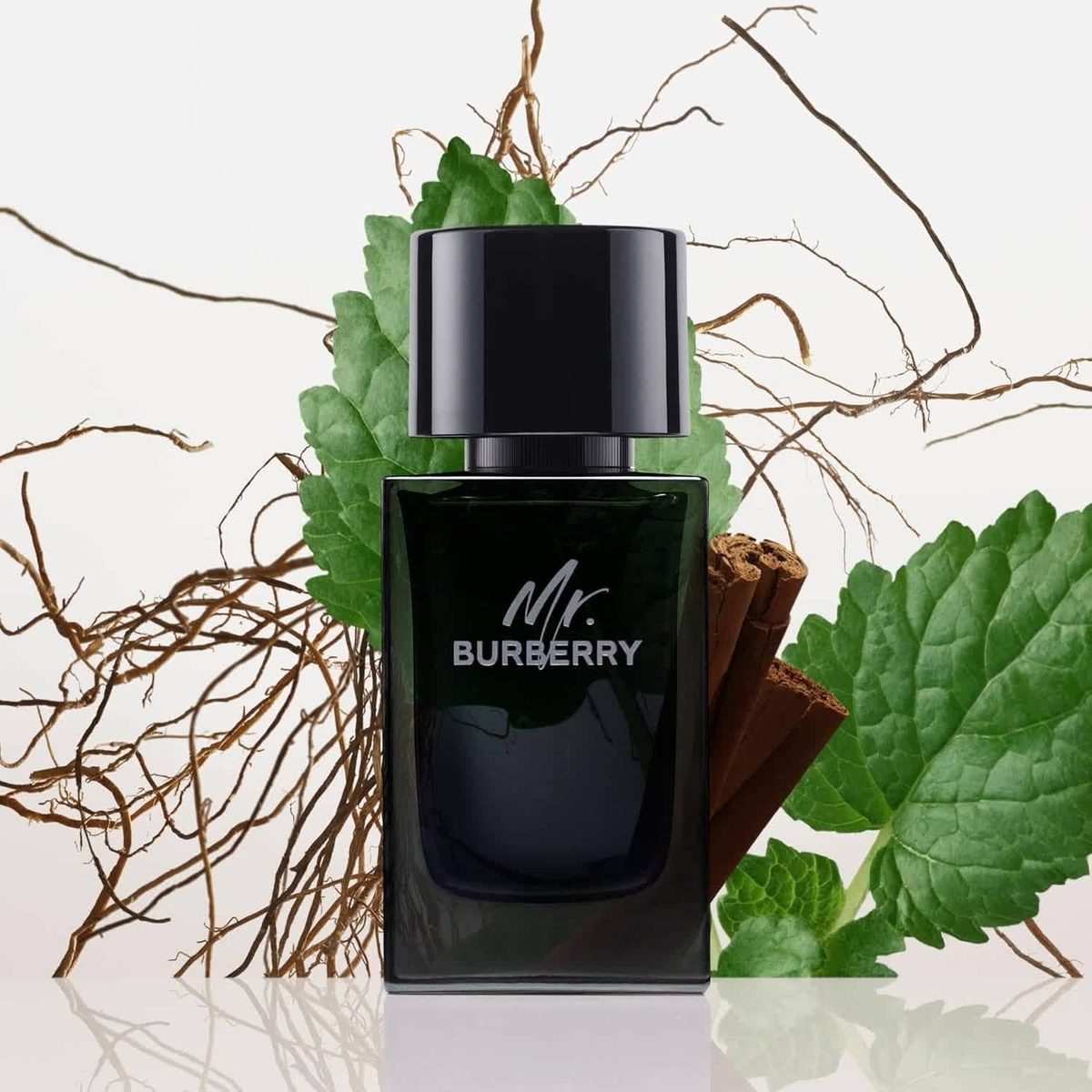 Burberry Mens Mr. Burberry EDP Spray 3.4 oz Fragrances 3616301838210