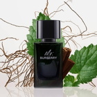 Burberry Mens Mr. Burberry EDP Spray 3.4 oz Fragrances 3616301838210