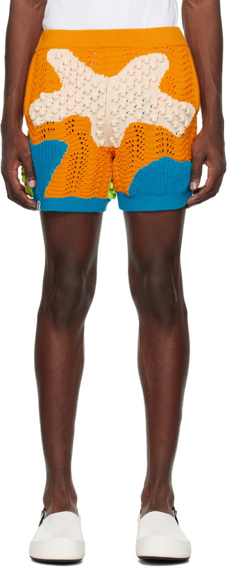 Photo: Bonsai Orange & Blue Intarsia Shorts