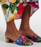 Dolce&Gabbana Karol DG floral mules