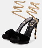 Rene Caovilla Embellished velvet sandals